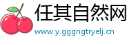 任其自然网